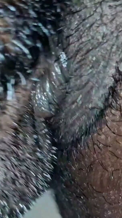Tamil wife pusssy eating husband. | Clip 1