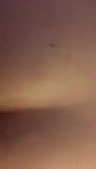 Nice doggy moaning