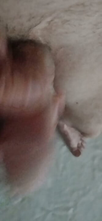 The Timid