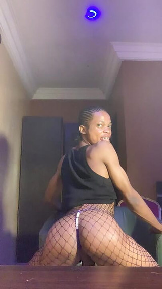 Net Dance