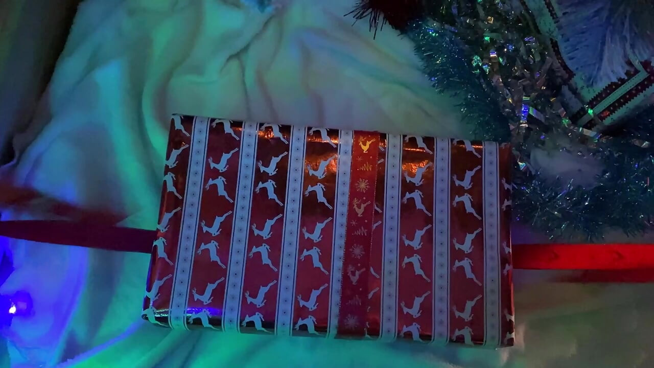 Navidad con mi pervertido hermanastra