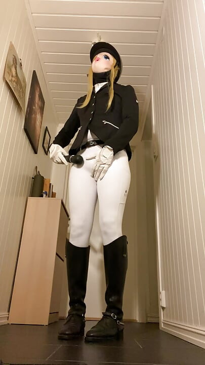 Ready for equestrian event