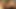 Kıllı babes facesitting ve kedi yalama