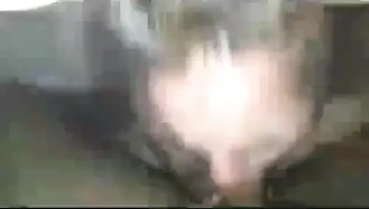 Beyaz kızların en iyi yarağı emdiğini kanıtlıyor