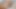Hairy man masturbating to cum in webcam