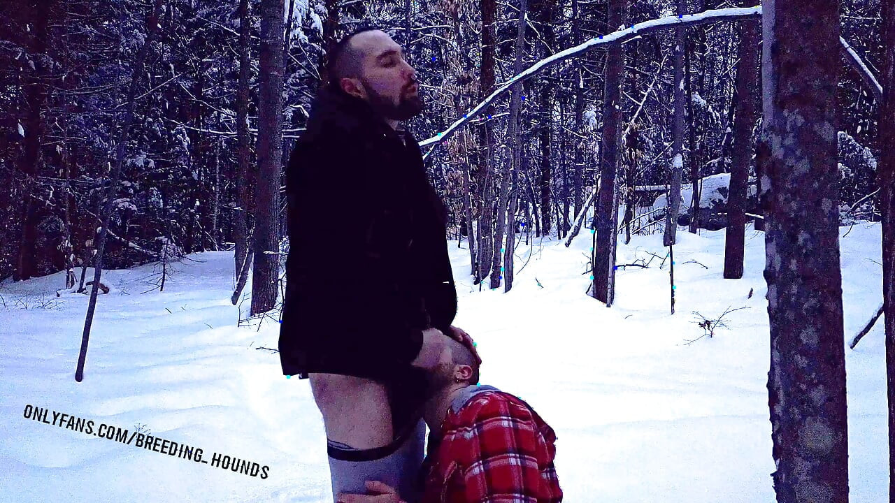 Two bearded pig playing with their cock in the snowy fields.