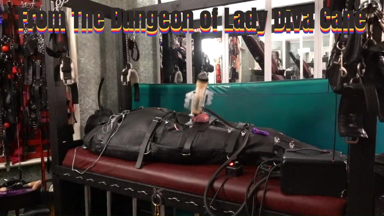 Venus 2000 Milking in Motorcycle Leather Bondage Sack from the Dungeon of Canadian Mistress Lady Diva Cane.