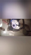 Pregled videozapisa