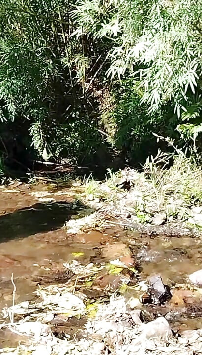 I took my stepmother to see a stream, and she ended up taking off all her clothes in front of me.