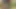 Düzgün vücutlu kayınvalidesi şehvetli damadının dikkatini çekmeyi biliyor.