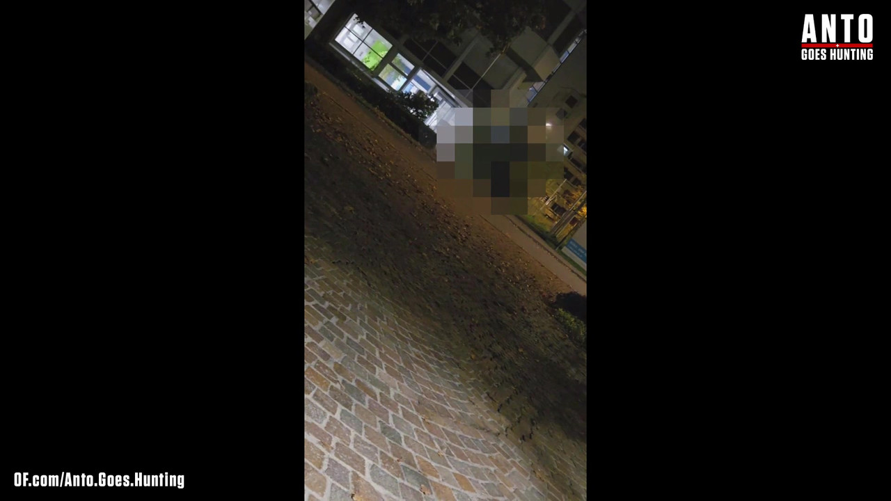 另一个保安走近并说服