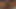 African hairy squirting webcam