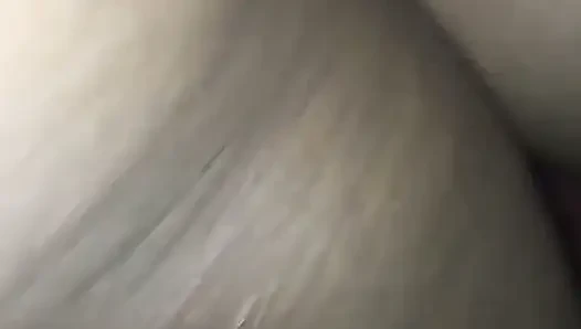 Doggys Style Milk