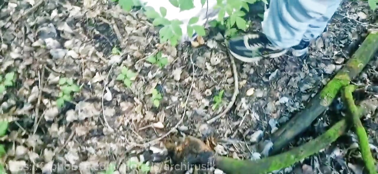 Twinks with Big Dicks Fuck During Breaks in the Park Without Condoms Until They Cum