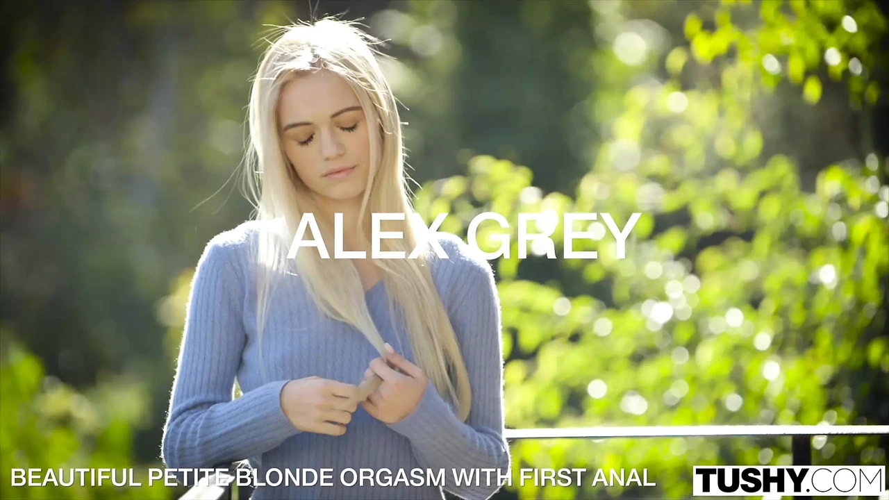 Vixenplus - 永恒的灰色汇编