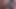 Pov, Gesichtsbesamung, behaarter Bär kommt auf Bart