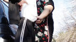 Pregled videozapisa