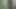 Peat Bog 1.mp4