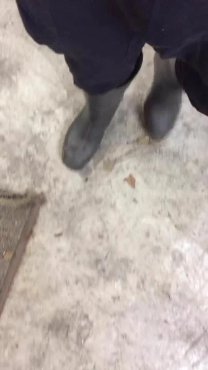 waders  locked my feet