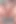 Viral Tavşanın Tadı