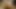 Hotkinkyjo paskalya tavşanı bazı anal yumurtalar