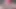 Sürtük ağız eğitimi teaser