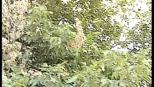 Tarzan Porn Legend Wild Jungle Fuck