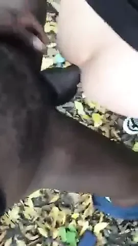 Прямой черный мужик трахает меня в парке