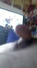 SHONIBELL