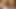 カシュドールはあちこちで潮吹きします