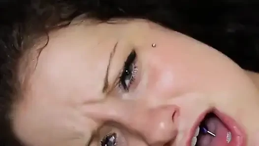 Three Wild Pussies HD
