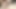 Sevimli kız porno izlerken onu azgın kedi ile oynuyor