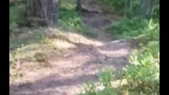 Trans Man Masturbating In The Forest