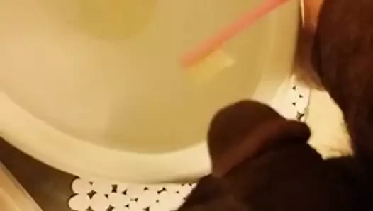 Cum üzerinde gfs diş fırçası 2