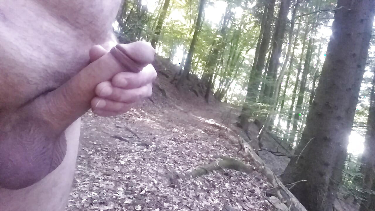 Waldspaziergang in Sankt Ingbert