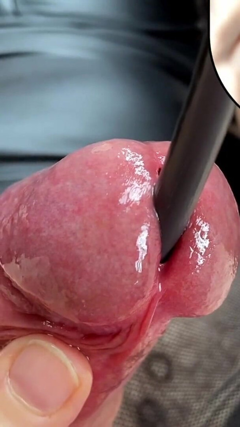Instruction video for tender dilation of the male urethra - female POV | Clip 1