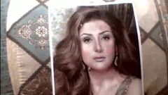 En güzel Arap kadını ghada abdelrazek'e haraç