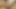 Hung Latina Tranny Babe Vic0sexxx cumshot
