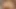 I catch my stepsister masturbating and I end up fucking her