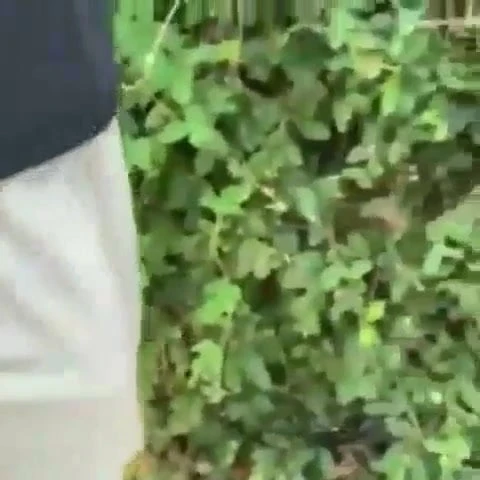 My strong cock suck it babe
