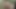 BDSM美女が縛られ、鞭打ちされ、お尻を弄ばれる