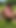 Must-see moment from "Nicky Brill Showing pussy in public park and pissing"
