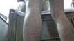 Pratinjau video