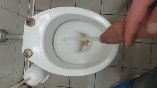 Pisciata in autogrill (Piss in the motorway service station)