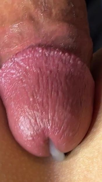 Milf gets fucked doggy and lets her butt and butt plug squirt full of sperm. Beautiful cumshot close-up.