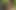 Forest Sex with a Random Hiker
