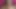 anal creampie transgender