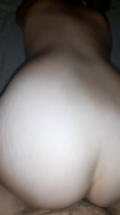 Petite chienne