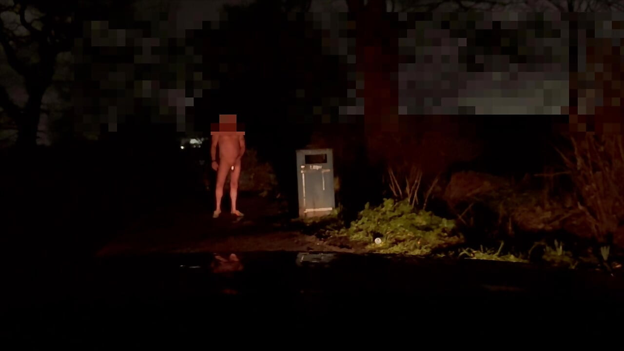 Wanking in public naked . Was I seen ?