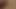 Seksi femboy ile ateşli dildo sikişi